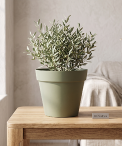 Pot Rosalya 1